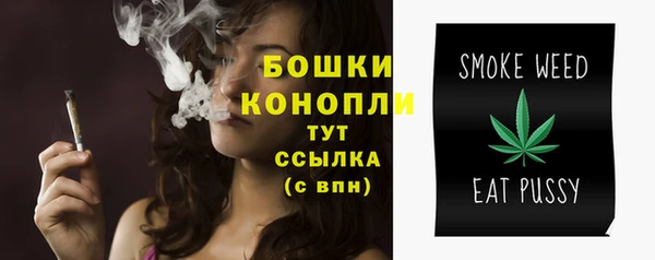 гидра Беломорск