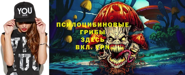 гидра Беломорск