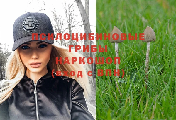 первитин Белокуриха