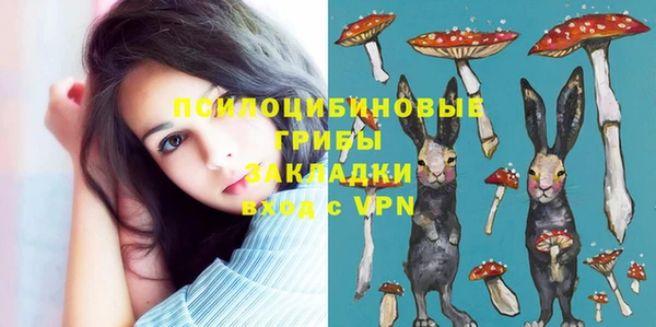 первитин Белокуриха