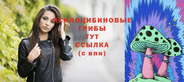 гидра Беломорск